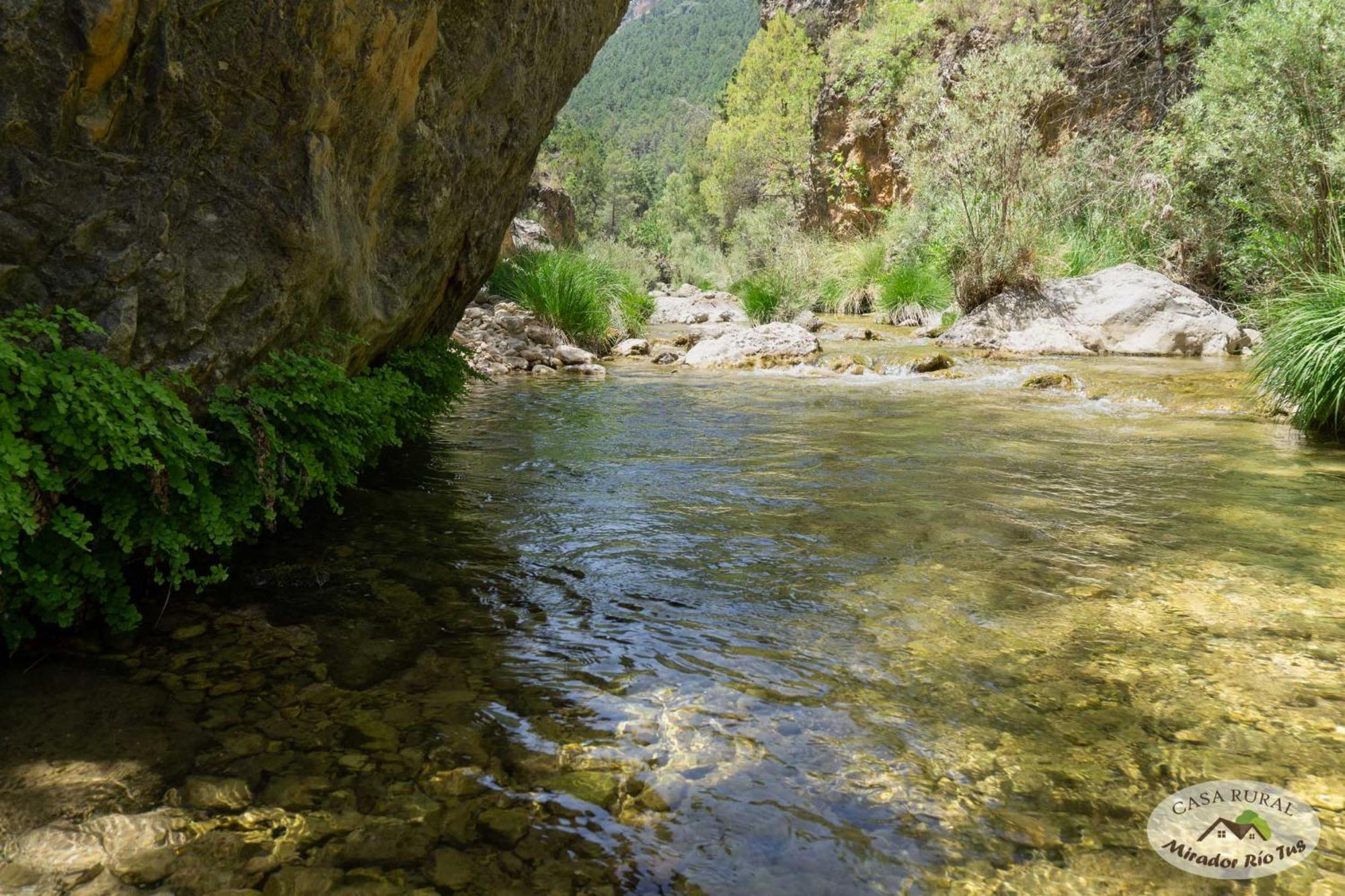 Mirador Del Rio Tus, En *